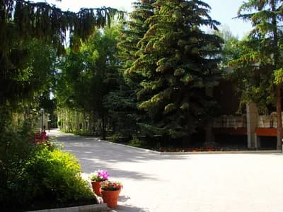 Витязь (Мурас) 2