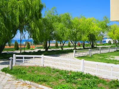 Витязь (Мурас) 5