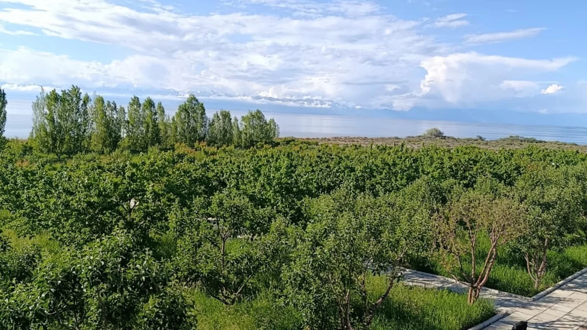 Руха 10