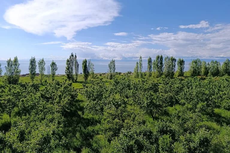 Руха 2