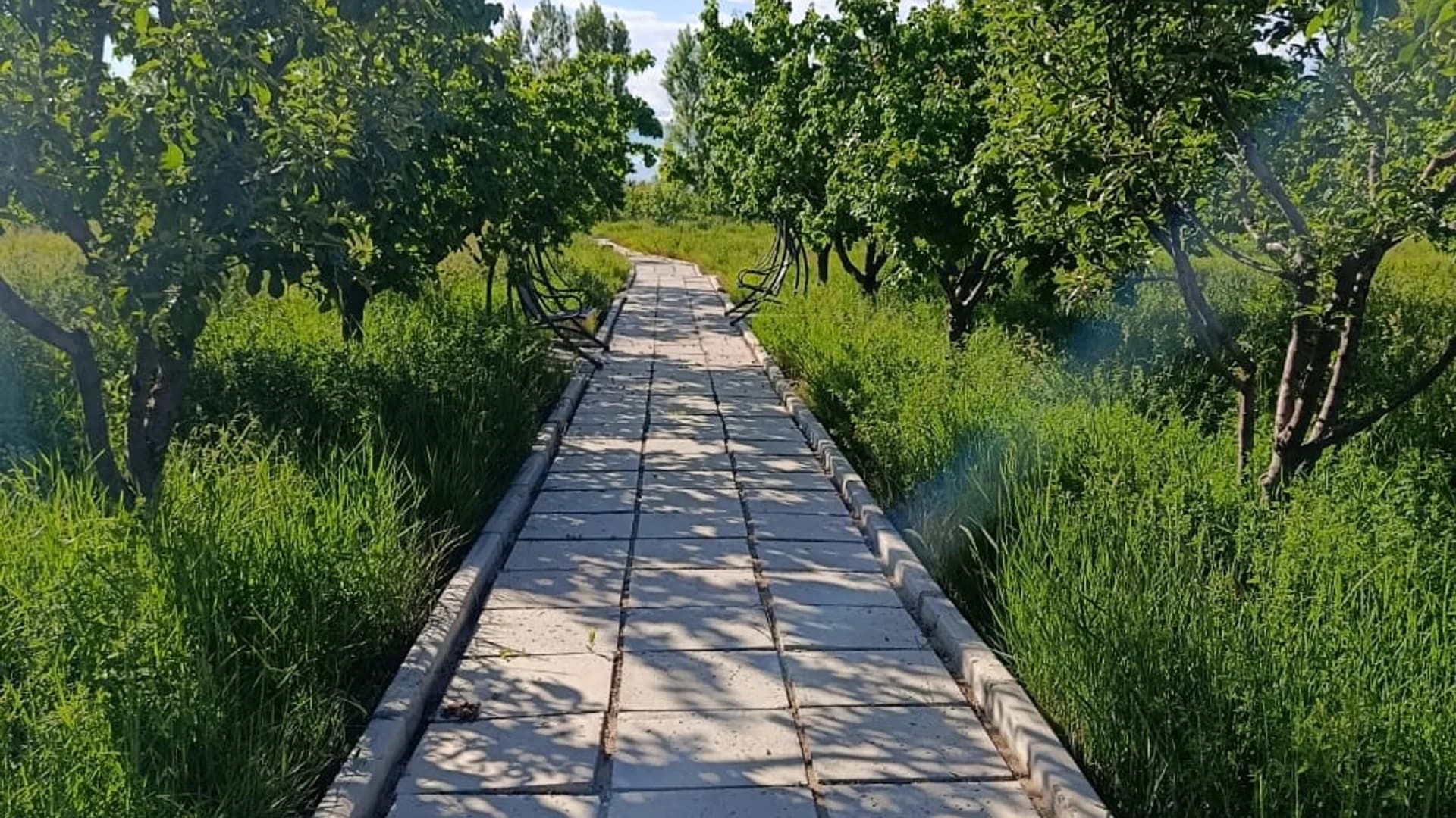 Руха 4